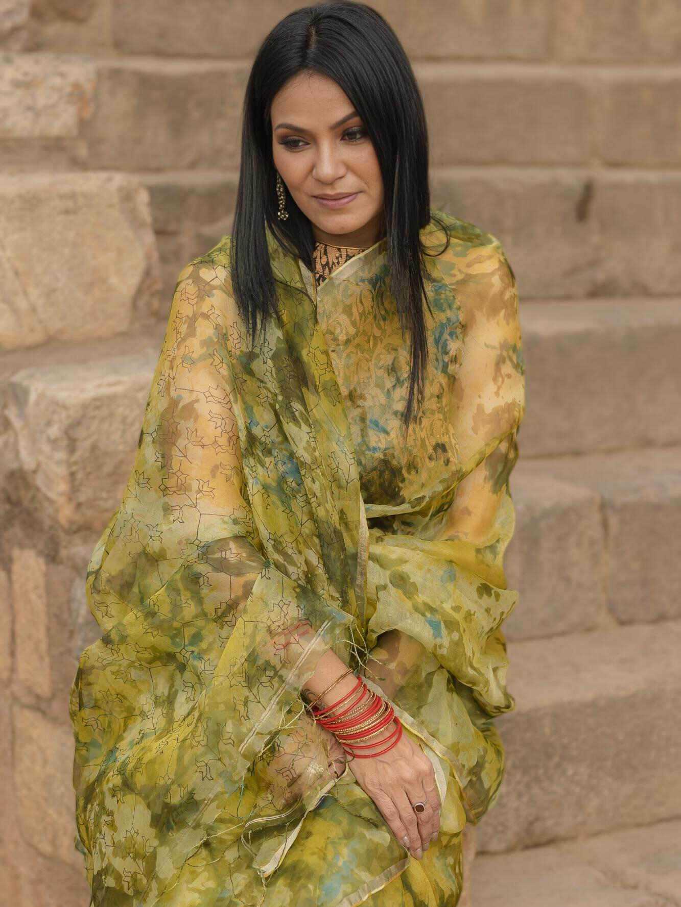 Bani Thani Lime Saree